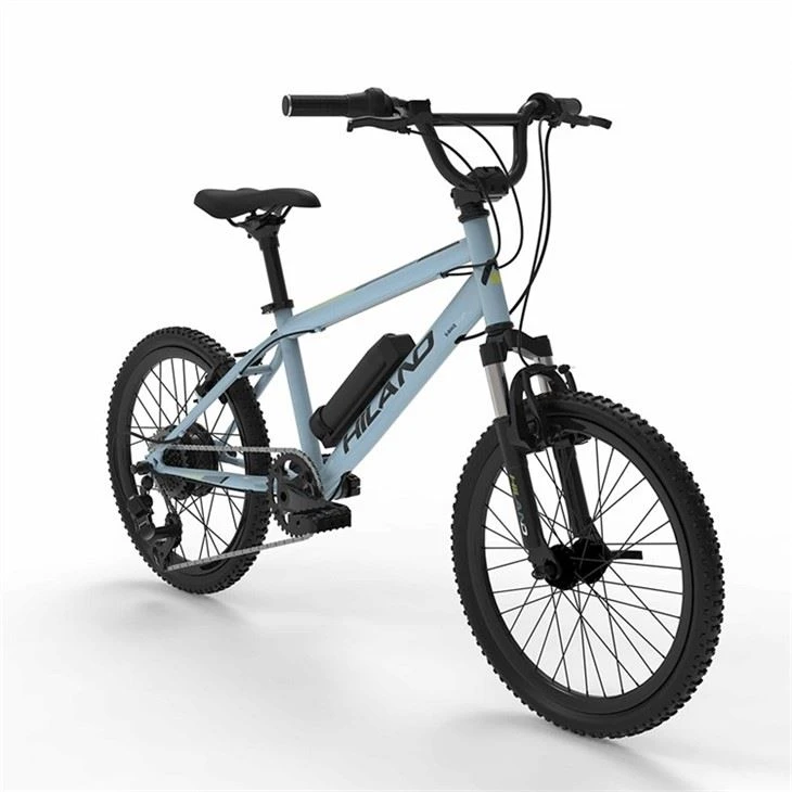 Electric Electric City Bike