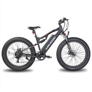 E-mtb İki Tekerlekli Off Road Elektrikli Dağ Bisikleti