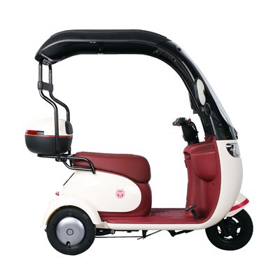 650W 60V/48V Motorlu Yetişkin Üç Tekerlekli Bisikletler